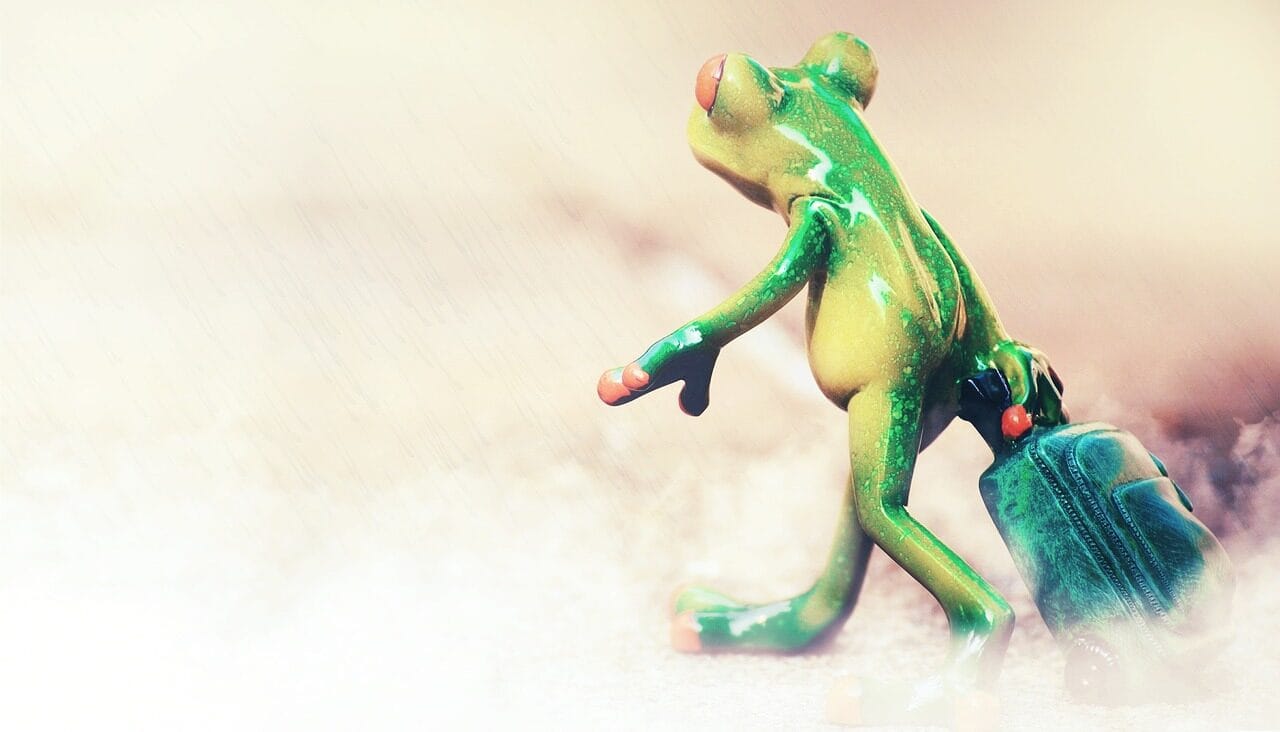 CGTMSE guarantee ceiling, annual guarantee fee slabs, CGTMSE UDAAN portal, CGTMSE eligibility criteria, how to apply CGTMSE, free MSME loan, CGTMSE corpus boost