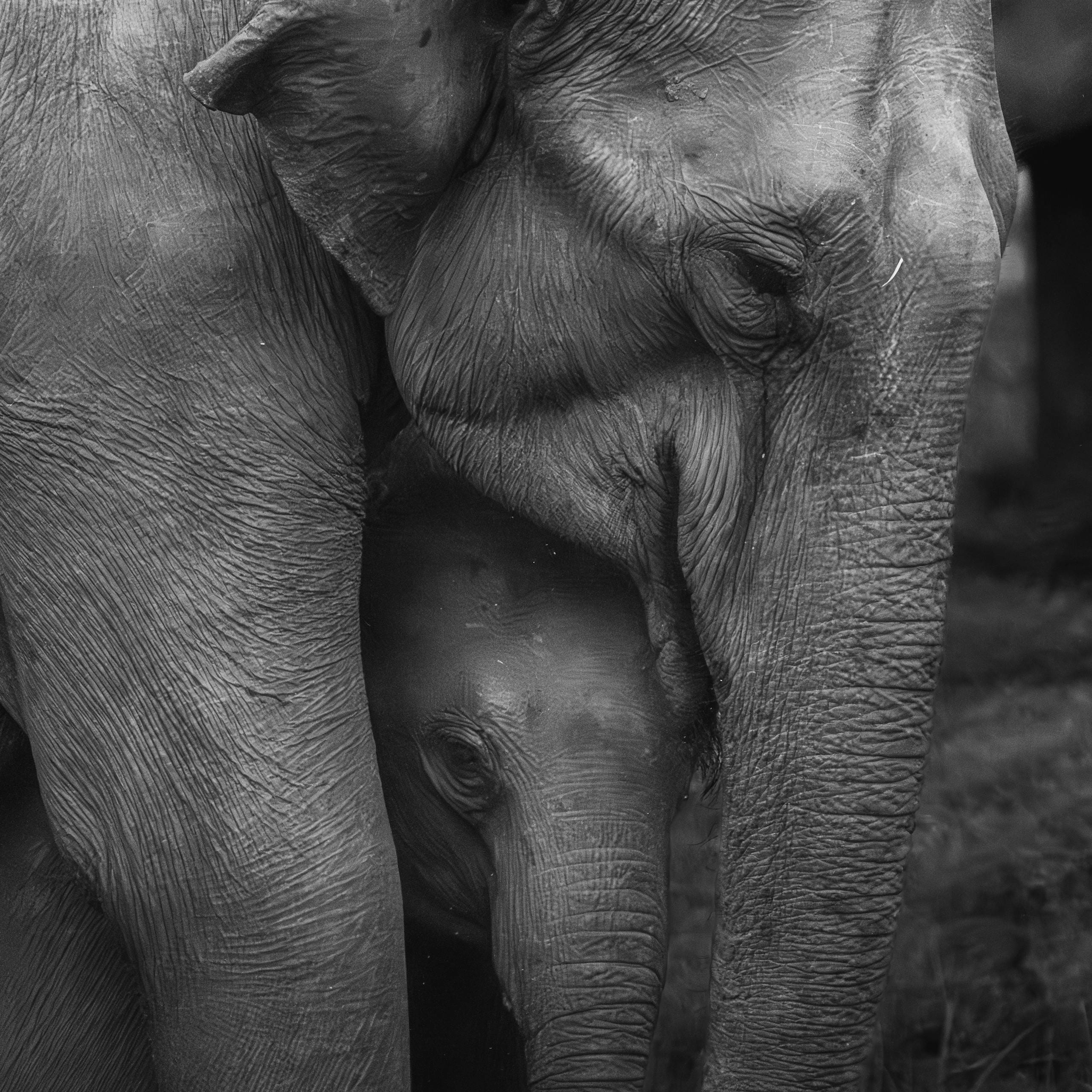 What are the MSME Schemes by Indian Government